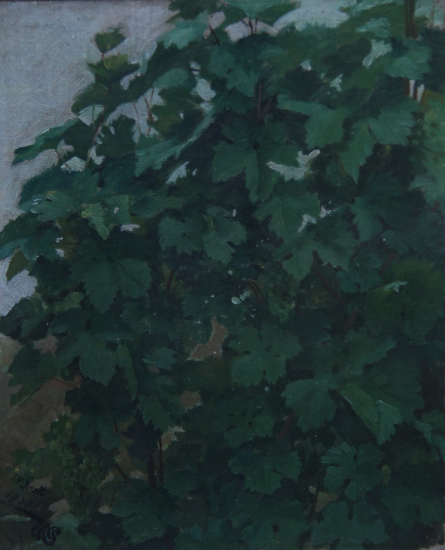 11. Винова лоза, 1900, уље на платну каширано на лесонит, 25 х 21 цм, инв. бр. 272.jpg