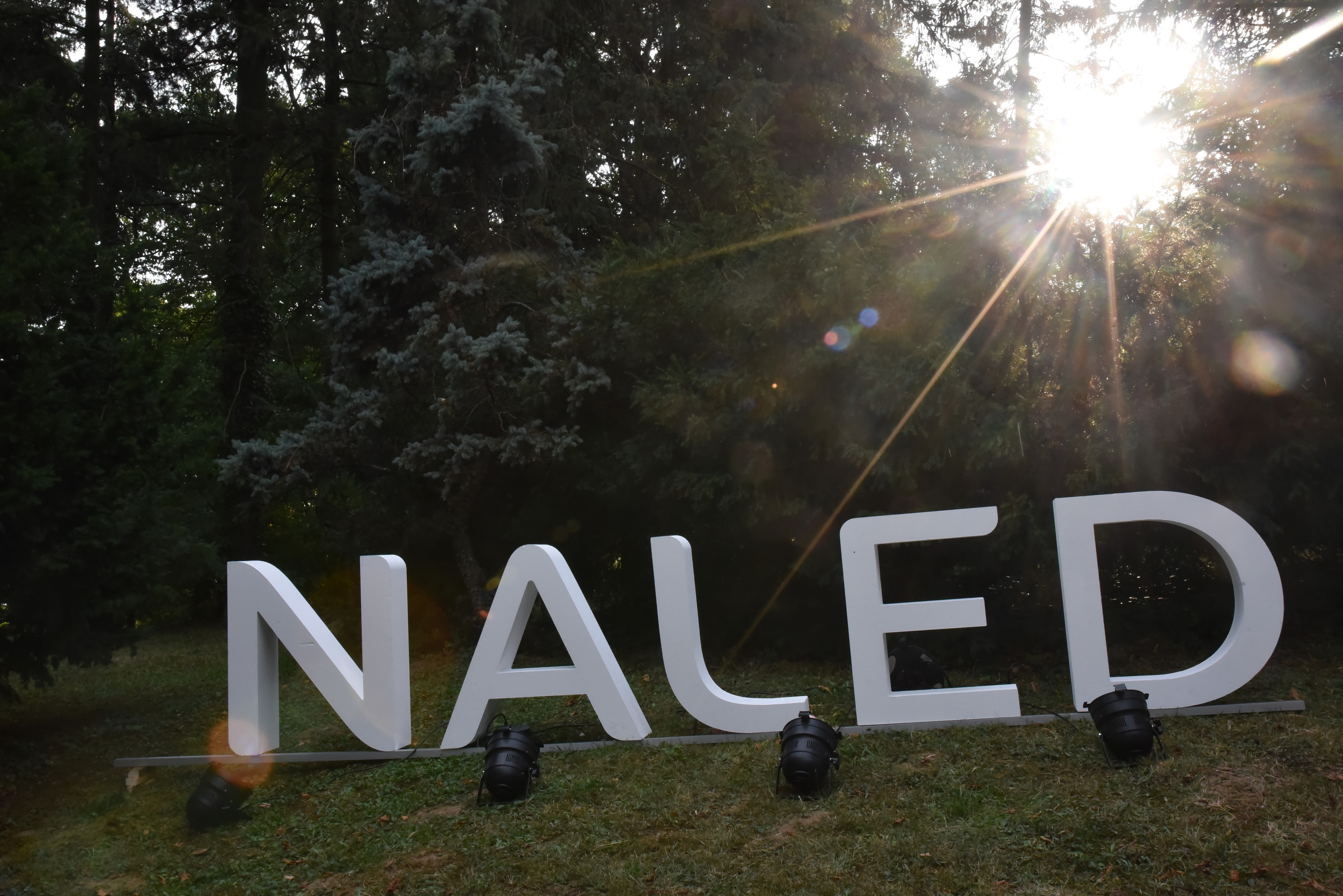 More than 800 members and partners at NALED's September Gathering