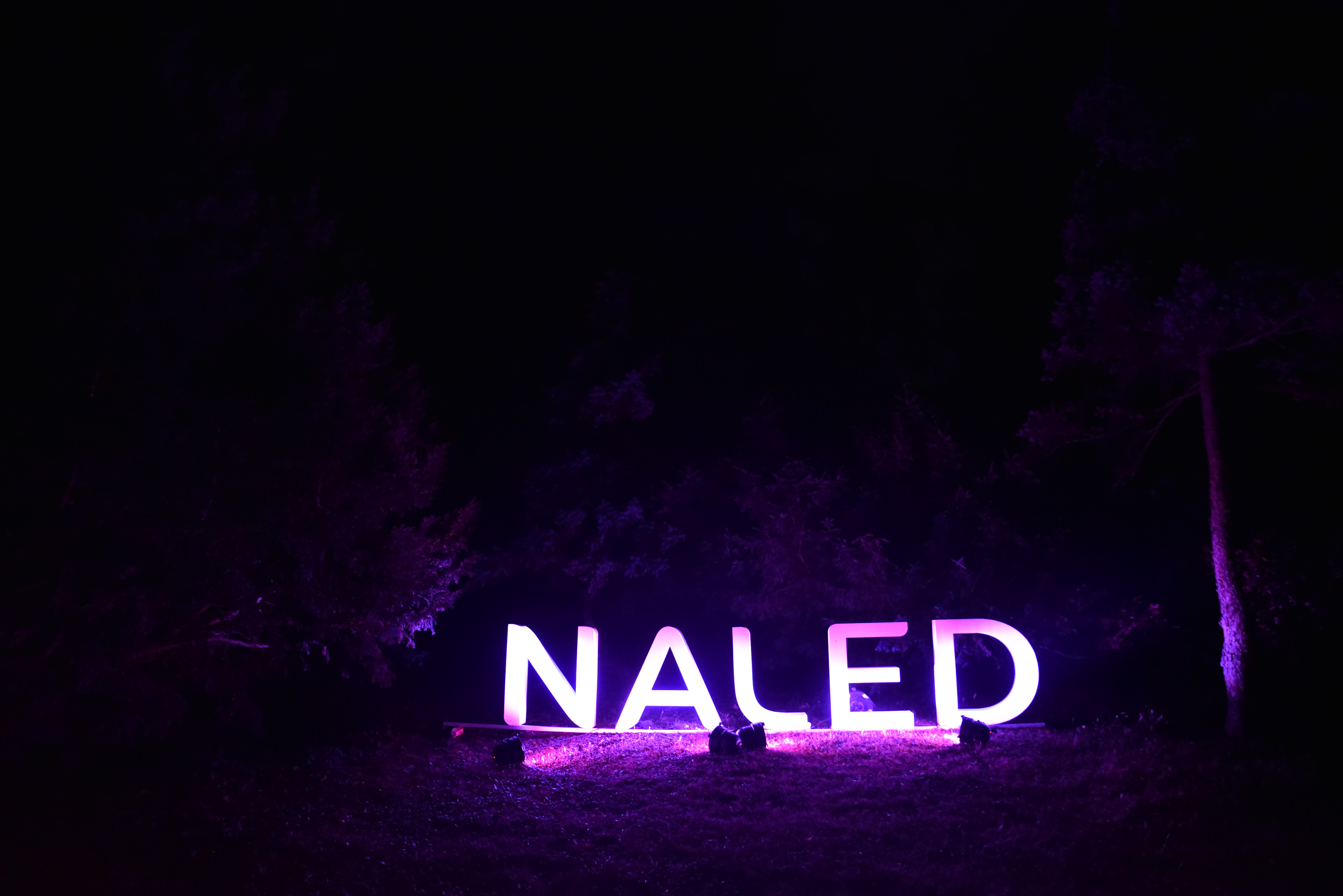 Više od 800 članova i partnera na NALED-ovom Septembarskom susretu