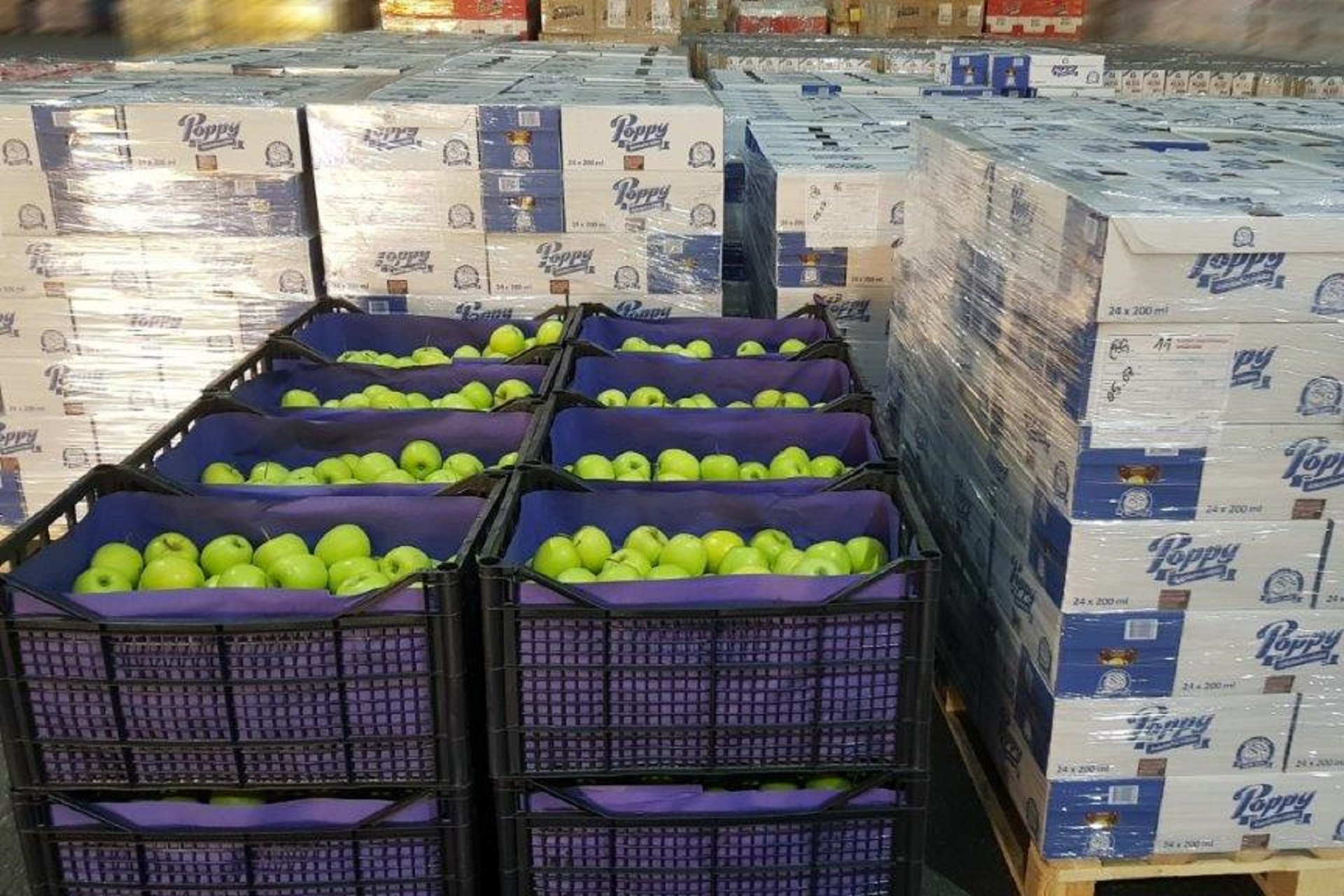 Businesses donated 45 tons of food to 10,000 households in cooperation with NALED