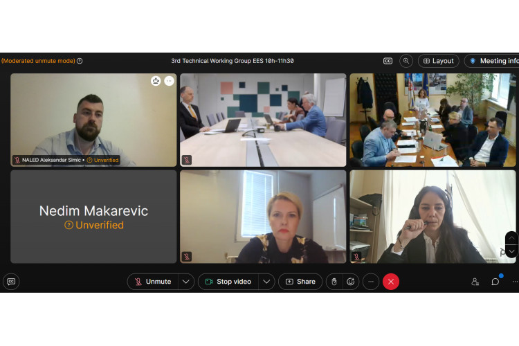 NALED Highlights the Need for a Solution for Professional Drivers