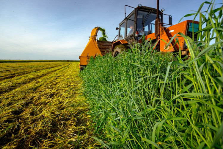 Država godišnje izdvoji više od 100 milijardi dinara za agrar, neophodan javni registar podsticaja 